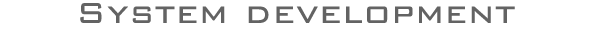 WEB Development